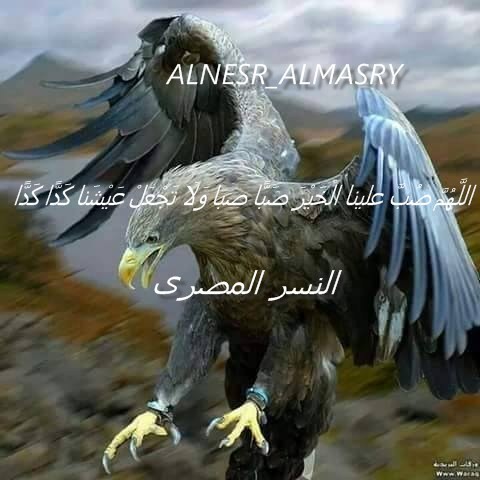 ALNESR ALMASRY