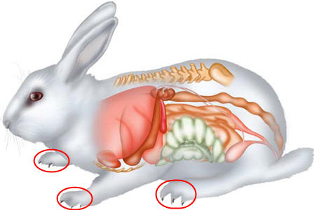 اضغط على الصورة لعرض أكبر. 

الإسم:	image.png 
مشاهدات:	413 
الحجم:	136.0 كيلوبايت 
الهوية:	811045