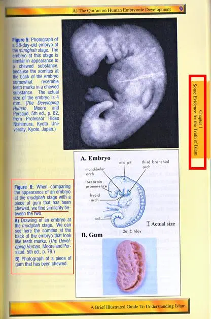 اضغط على الصورة لعرض أكبر.   الإسم:	image.png  مشاهدات:	18  الحجم:	406.7 كيلوبايت  الهوية:	811782