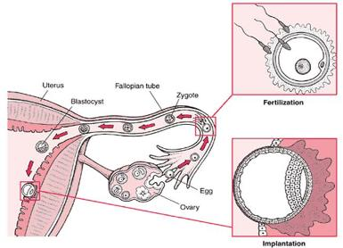 اضغط على الصورة لعرض أكبر.   الإسم:	image.png  مشاهدات:	9  الحجم:	139.1 كيلوبايت  الهوية:	812187