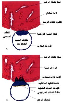 اضغط على الصورة لعرض أكبر.   الإسم:	image.png  مشاهدات:	9  الحجم:	138.6 كيلوبايت  الهوية:	812190