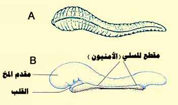 اضغط على الصورة لعرض أكبر.   الإسم:	image.png  مشاهدات:	6  الحجم:	73.4 كيلوبايت  الهوية:	812211