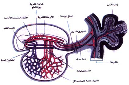 اضغط على الصورة لعرض أكبر.   الإسم:	image.png  مشاهدات:	6  الحجم:	168.0 كيلوبايت  الهوية:	812212