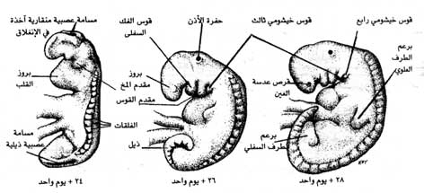 اضغط على الصورة لعرض أكبر.   الإسم:	image.png  مشاهدات:	6  الحجم:	119.7 كيلوبايت  الهوية:	812213