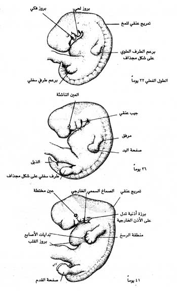 اضغط على الصورة لعرض أكبر.   الإسم:	image.png  مشاهدات:	6  الحجم:	146.2 كيلوبايت  الهوية:	812214