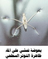 اضغط على الصورة لعرض أكبر.   الإسم:	image.png  مشاهدات:	20  الحجم:	47.2 كيلوبايت  الهوية:	812250