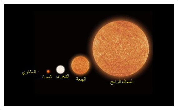 الصورة بمقياس رسم حقيقي تضم نجوماً عملاقة مقارنة بنجوم قزمية كشمسنا ...