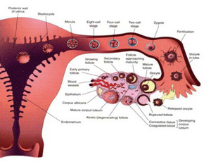 اضغط على الصورة لعرض أكبر. 

الإسم:	image.png 
مشاهدات:	46 
الحجم:	84.2 كيلوبايت 
الهوية:	825977