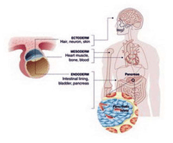 اضغط على الصورة لعرض أكبر. 

الإسم:	image.png 
مشاهدات:	21 
الحجم:	51.3 كيلوبايت 
الهوية:	825982