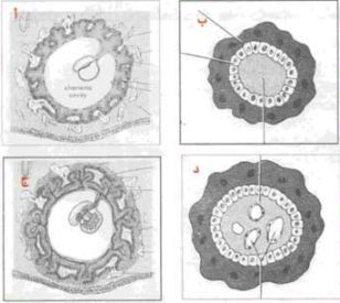 اضغط على الصورة لعرض أكبر. 

الإسم:	image.png 
مشاهدات:	58 
الحجم:	87.4 كيلوبايت 
الهوية:	826702