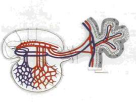 اضغط على الصورة لعرض أكبر. 

الإسم:	image.png 
مشاهدات:	58 
الحجم:	66.0 كيلوبايت 
الهوية:	826703