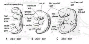 اضغط على الصورة لعرض أكبر. 

الإسم:	image.png 
مشاهدات:	110 
الحجم:	76.7 كيلوبايت 
الهوية:	828838