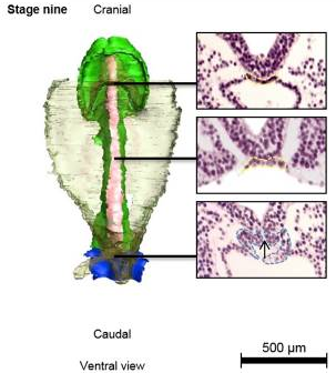 اضغط على الصورة لعرض أكبر. 

الإسم:	image.png 
مشاهدات:	111 
الحجم:	126.8 كيلوبايت 
الهوية:	828842