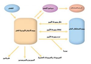 اضغط على الصورة لعرض أكبر. 

الإسم:	image.png 
مشاهدات:	35 
الحجم:	55.7 كيلوبايت 
الهوية:	828877