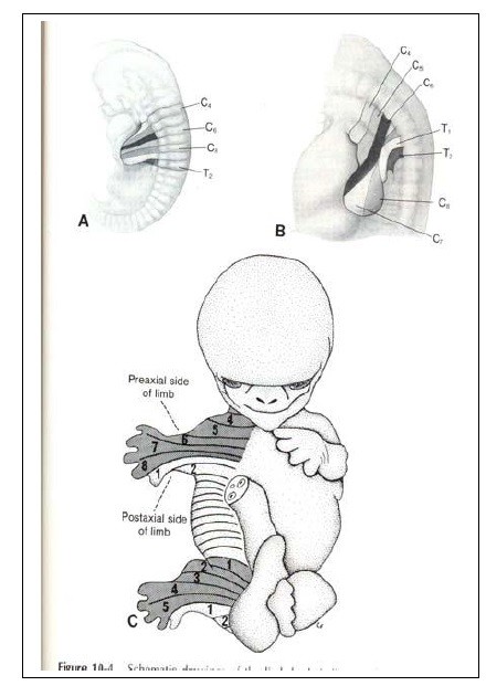 اضغط على الصورة لعرض أكبر. 

الإسم:	3.jpg 
مشاهدات:	54 
الحجم:	51.0 كيلوبايت 
الهوية:	831926