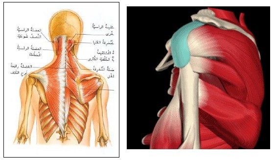 اضغط على الصورة لعرض أكبر. 

الإسم:	6.jpg 
مشاهدات:	78 
الحجم:	49.3 كيلوبايت 
الهوية:	831929