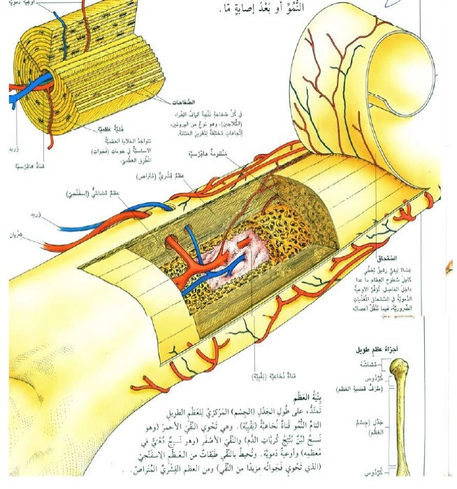 اضغط على الصورة لعرض أكبر. 

الإسم:	7.jpg 
مشاهدات:	76 
الحجم:	143.4 كيلوبايت 
الهوية:	831930