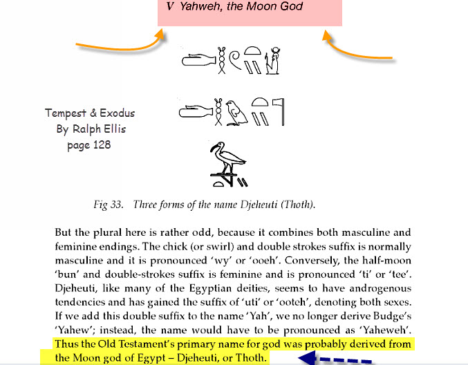 African presence in early Asia, Volume 7 - Ivan Van Sertima, Runoko Rashidi