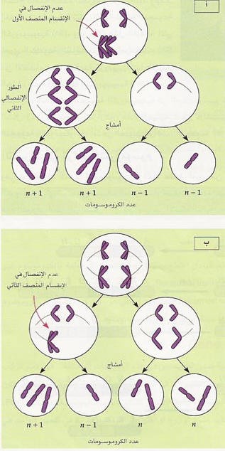 اضغط على الصورة لعرض أكبر. 

الإسم:	shape34.jpg 
مشاهدات:	9 
الحجم:	55.5 كيلوبايت 
الهوية:	839283