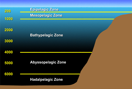 اضغط على الصورة لعرض أكبر. 

الإسم:	image.png 
مشاهدات:	15 
الحجم:	61.5 كيلوبايت 
الهوية:	839304