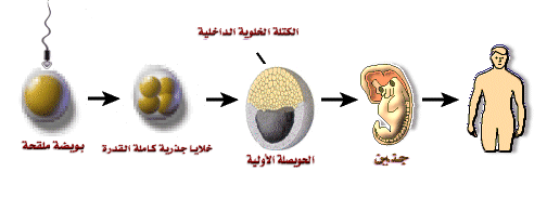 اضغط على الصورة لعرض أكبر.   الإسم:	image.png  مشاهدات:	4  الحجم:	41.2 كيلوبايت  الهوية:	841785