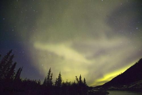 اضغط على الصورة لعرض أكبر. 

الإسم:	aurora-Borealis_canada_T6176.jpg 
مشاهدات:	330 
الحجم:	18.1 كيلوبايت 
الهوية:	842931