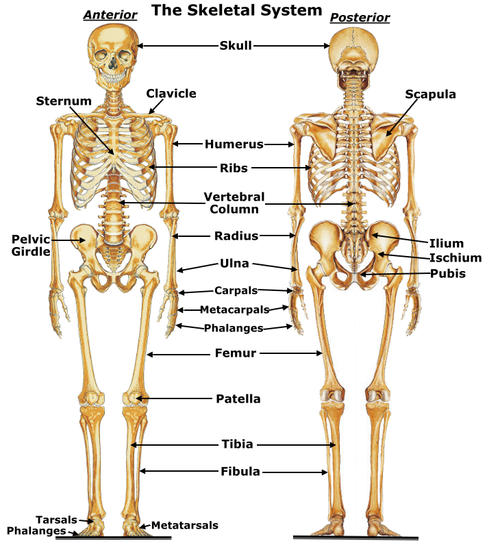 اضغط على الصورة لعرض أكبر. 

الإسم:	image.png 
مشاهدات:	8 
الحجم:	369.1 كيلوبايت 
الهوية:	843451