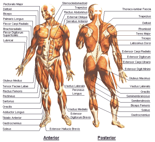 اضغط على الصورة لعرض أكبر. 

الإسم:	image.png 
مشاهدات:	8 
الحجم:	103.8 كيلوبايت 
الهوية:	843452