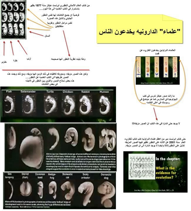 اضغط على الصورة لعرض أكبر.   الإسم:	283024_242858049079883_3388747_n.jpg  مشاهدات:	0  الحجم:	110.6 كيلوبايت  الهوية:	843487