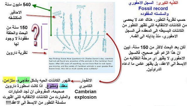 اضغط على الصورة لعرض أكبر. 

الإسم:	320709_253219831377038_1819812_n.jpg 
مشاهدات:	52 
الحجم:	76.0 كيلوبايت 
الهوية:	843506