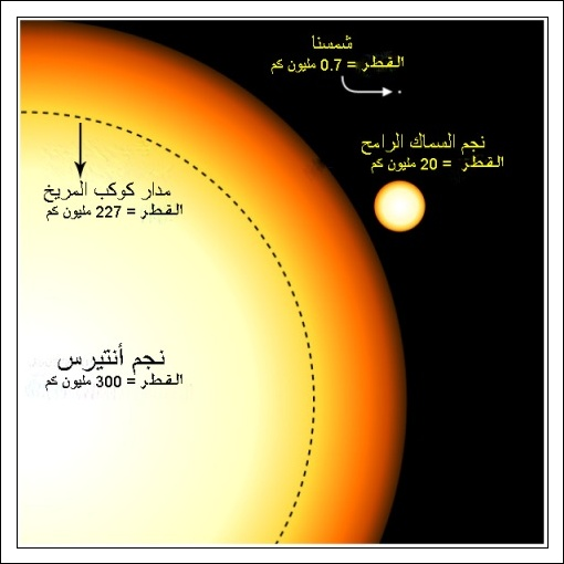 صورة بمقياس رسم حقيقي تجمع شمسنا مقارنة بنجم السماك الرامح مع نجم أحمر عملاق أنتيرس Antares (قلب العقرب)