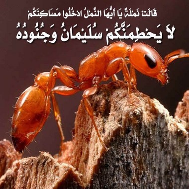 اضغط على الصورة لعرض أكبر. 

الإسم:	760102232323.jpg 
مشاهدات:	8 
الحجم:	55.0 كيلوبايت 
الهوية:	844040