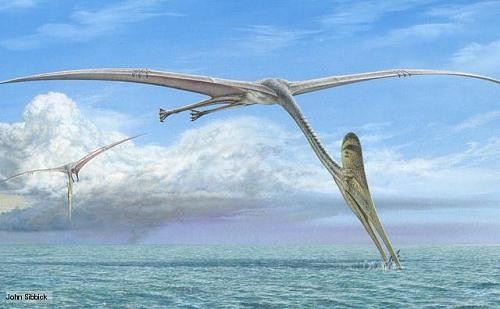 ملاحظة: لا يعني حديثي عن ال pterosaurs اني اقول بوجودها ضرورة... وهذا مع كثير من الامور... ولكنها من باب الزام المخالفين بما يقولون به...