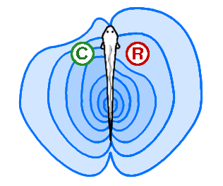 اضغط على الصورة لعرض أكبر. 

الإسم:	attachment.png 
مشاهدات:	5 
الحجم:	20.6 كيلوبايت 
الهوية:	844500