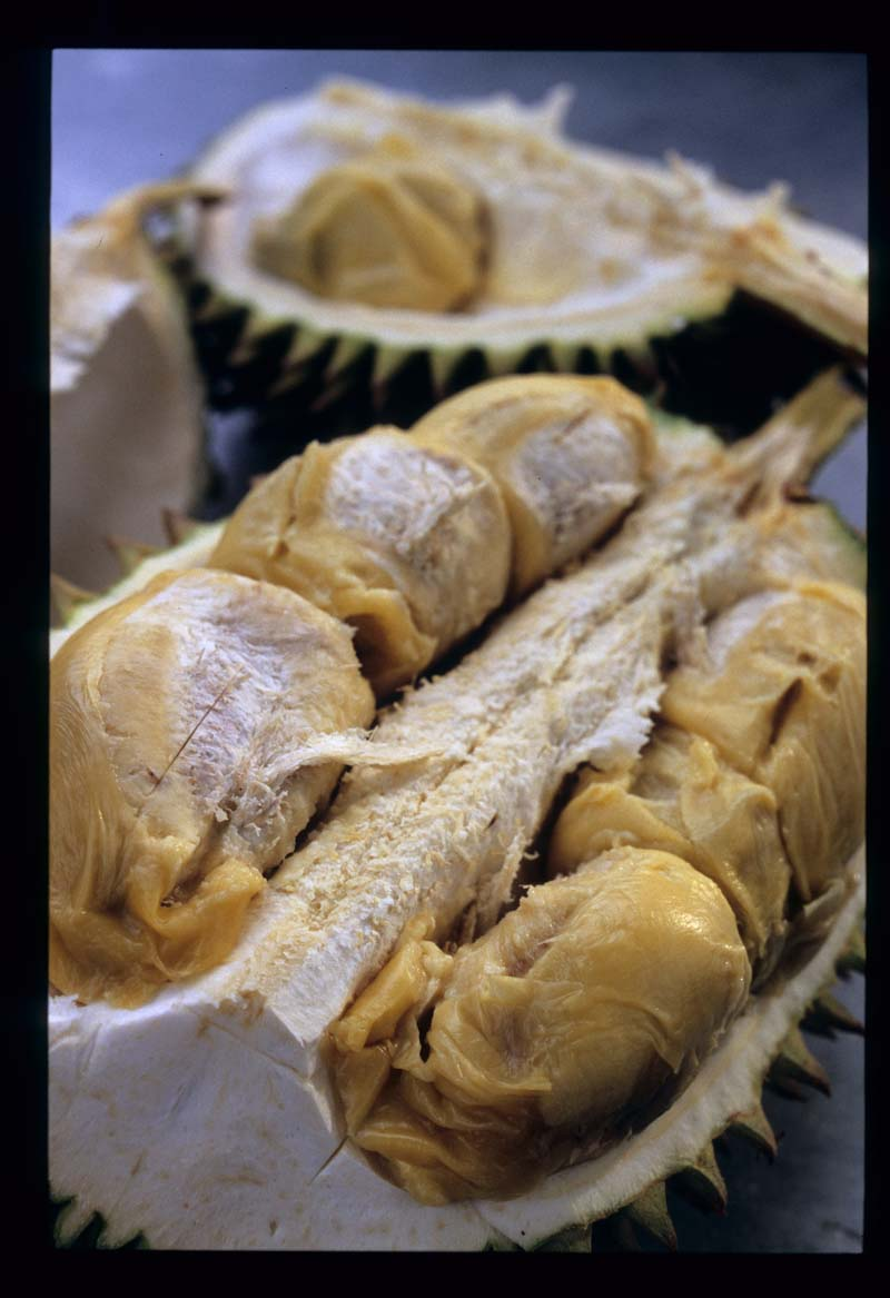 ​ Durian دريان ​ ​ موطنها بروناي وإندونيسا وماليزيا تسمى بملكة الفواكه بسبب كبر حجمها لها رائحة كريهة جدا ولهذا هي ممنوعة في الأماكن العامة لكن مذاقها حلو ذات قشرة قاسية شوكية ​