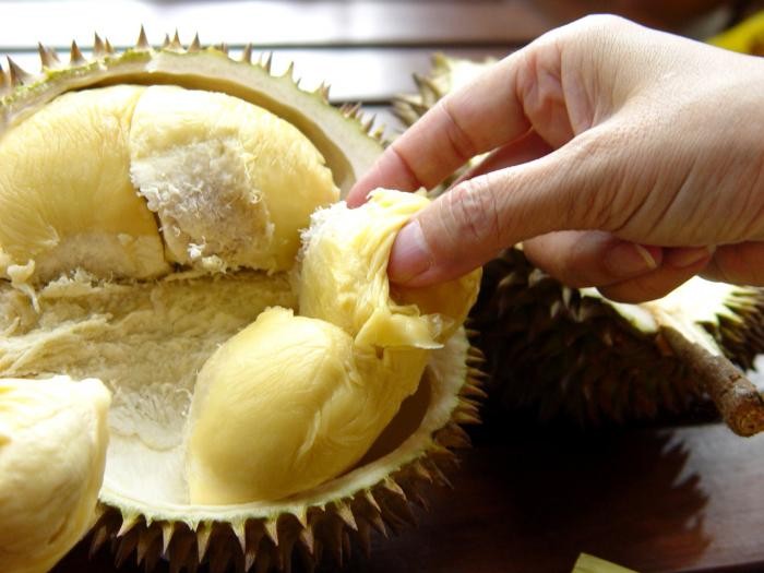 ​ Durian دريان ​ ​ موطنها بروناي وإندونيسا وماليزيا تسمى بملكة الفواكه بسبب كبر حجمها لها رائحة كريهة جدا ولهذا هي ممنوعة في الأماكن العامة لكن مذاقها حلو ذات قشرة قاسية شوكية ​