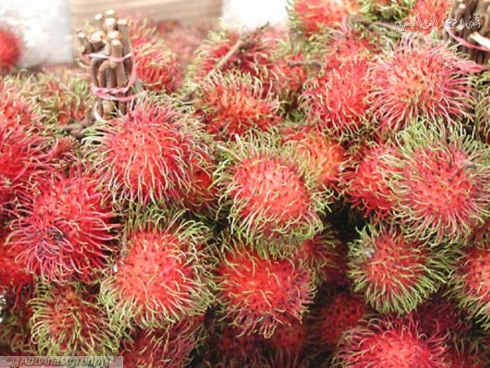 Rambutan رامبوتان  ​ تكثر في جنوب شرق آسيا عموما شجرتها مثمرة دائما الثمرة مغطاة بقشرة جلدية لها شعيرات ومذاقها حلو زيادة وتقريبا شبيه بالعنب من حيث المذاق ​