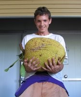 ​ Jackfruit جاك فروت او جاكويرا ​ هي أضخم الفواكه المزروعة , وتتميز بنواتها الصغيرة وقشرتها الصفراء أو الصفراء المائلة إلى اللون البرتقالي ويتم تناولها نيئةً كمأكولات خفيفة , أو كحلوى ​