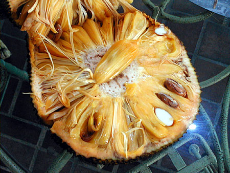 ​ Jackfruit جاك فروت او جاكويرا ​ هي أضخم الفواكه المزروعة ,موطنها جنوب وغرب الهند وسريلانكا والفلبين وبنغلادش وتزرع في البرازيل ويقال أنها تزرع في جيزان وتعبتر الشجرة من أكبر الشجرات المثمرة ثمرتها تشبه الأناناس في المذاق باختلاف أن الأناناس أكثر حلاوة ذات قشرة قوية وخشب الشجرة قوي يستخدم في صنع الأثاث ​