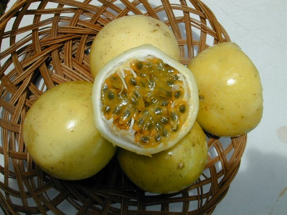 ​ Passion Fruit باشن فروت موطنها أمريكا الجنوبية والهند ونيوزيلندا ثمرتها ذات قشرة ناعمة ​