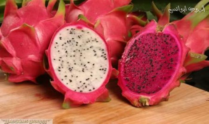 ​ Dragon Fruit فاكهة التنين ​ ​ ​ موطنها المكسيك ووسط جنوب أمريكا سميت بهذا الاسم بسبب شكلها ولونها وتكون بـ 3 ألوان أبيض ووردي وأحمر لها طعم قريب من الكمثرى شجرها شجر الصبار وأزهارها تؤكل أو تستعمل في صنع الشاي ​