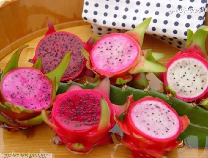 ​ Dragon Fruit فاكهة التنين ​ ​ ​ موطنها المكسيك ووسط جنوب أمريكا سميت بهذا الاسم بسبب شكلها ولونها وتكون بـ 3 ألوان أبيض ووردي وأحمر لها طعم قريب من الكمثرى شجرها شجر الصبار وأزهارها تؤكل أو تستعمل في صنع الشاي ​