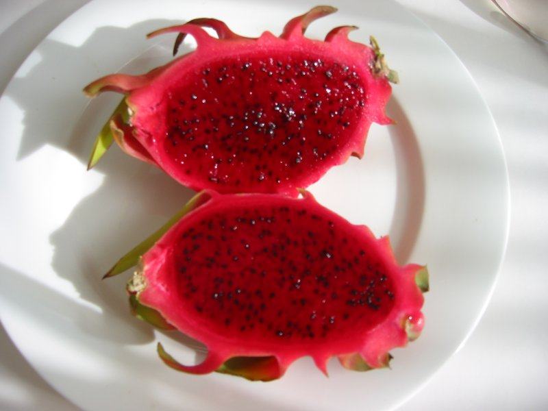 ​ Dragon Fruit فاكهة التنين ​ ​ ​ موطنها المكسيك ووسط جنوب أمريكا سميت بهذا الاسم بسبب شكلها ولونها وتكون بـ 3 ألوان أبيض ووردي وأحمر لها طعم قريب من الكمثرى شجرها شجر الصبار وأزهارها تؤكل أو تستعمل في صنع الشاي ​