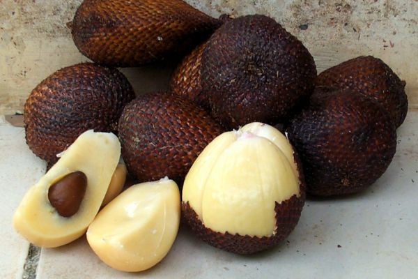 ​ Salak سالاك ​ ​ موطنها ماليزيا وإندونيسيا وتسمى بـ Snake-fruit بسبب شبه قشرتها بجلد الثعبان تنمو على شكل عناقيد تشبه التفاح من حيث المضمون المذاق حلو وأنواع أخرى حامض وأنواع أخرى قاسية وجافة ​