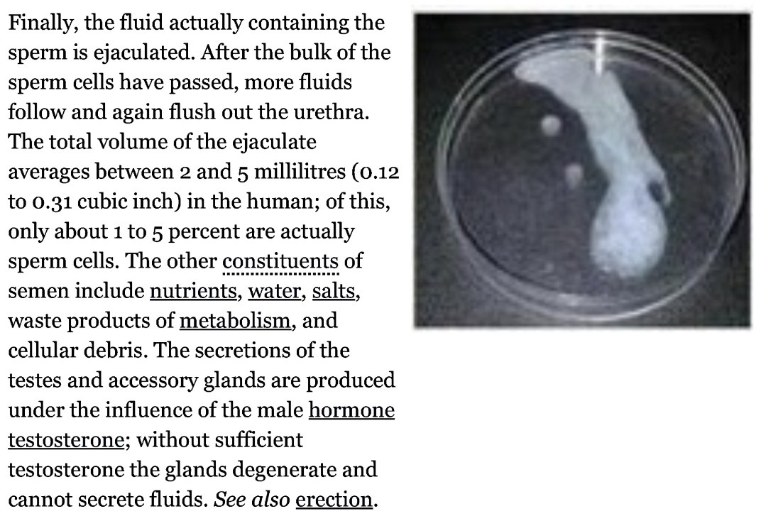 الماء من مكونات السائل المنوى للرجل..