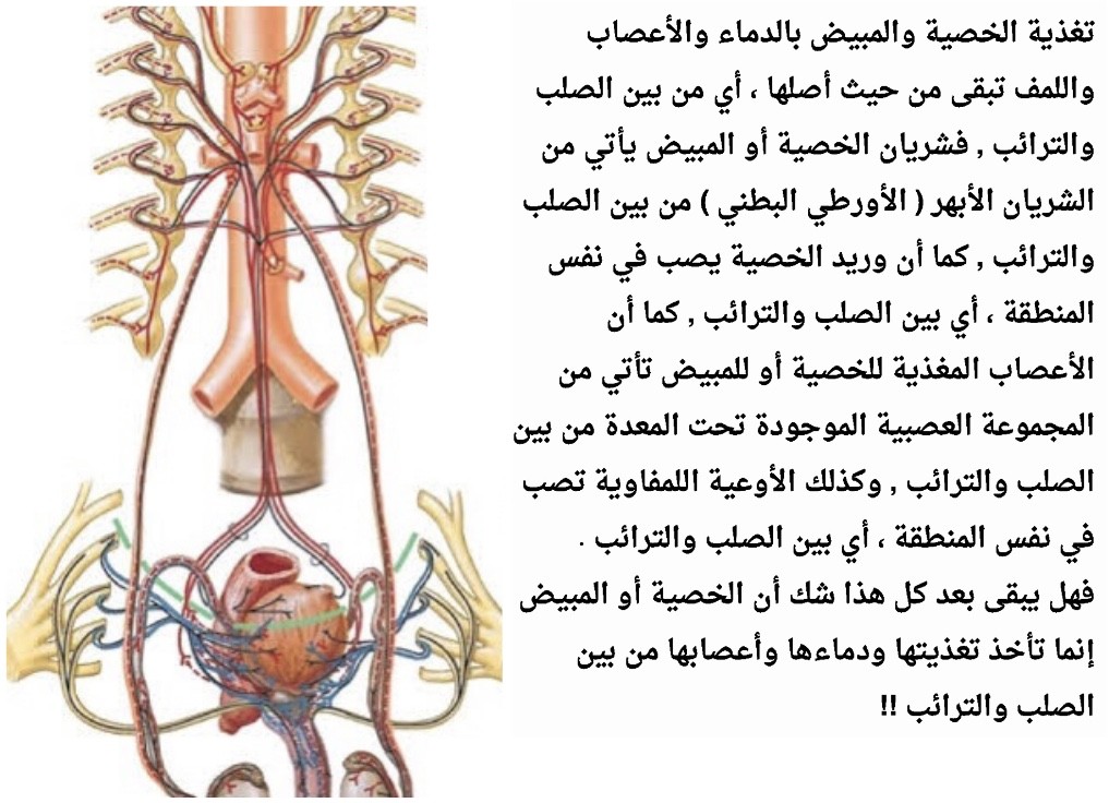 اضغط على الصورة لعرض أكبر. 

الإسم:	IMG-7317.jpg 
مشاهدات:	456 
الحجم:	177.0 كيلوبايت 
الهوية:	845228