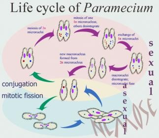 اضغط على الصورة لعرض أكبر. 

الإسم:	attachment.jpg 
مشاهدات:	14 
الحجم:	24.9 كيلوبايت 
الهوية:	846483