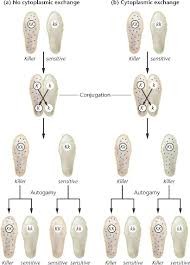 اضغط على الصورة لعرض أكبر.   الإسم:	images?q=tbn:ANd9GcRGLButwdtqYR7F7D0FKhkep8jl4PA87SLfPOPDshwD8XhHm8jF.jpg  مشاهدات:	0  الحجم:	12.4 كيلوبايت  الهوية:	846098