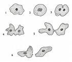 اضغط على الصورة لعرض أكبر.   الإسم:	attachment.jpg  مشاهدات:	0  الحجم:	5.1 كيلوبايت  الهوية:	846106