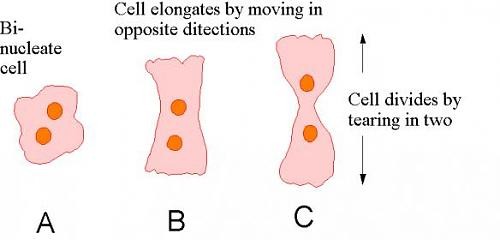 اضغط على الصورة لعرض أكبر.   الإسم:	attachment.jpg  مشاهدات:	0  الحجم:	19.3 كيلوبايت  الهوية:	846107